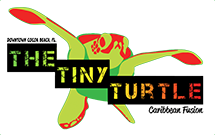 The Tiny Turtle