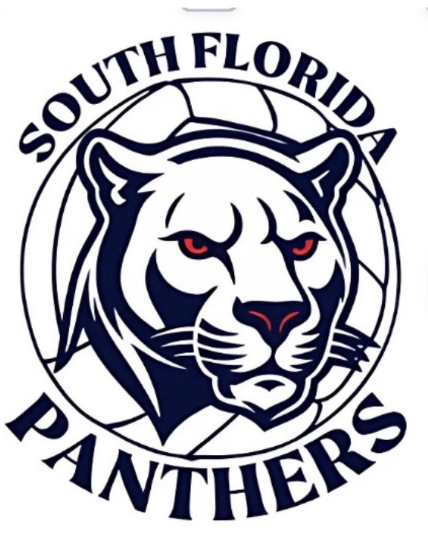 South FL Panthers Volleyball