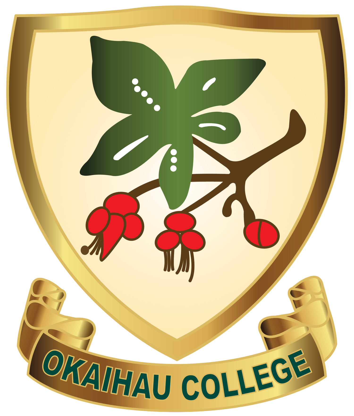 Okaihau College