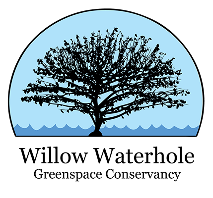 Willow Waterhole