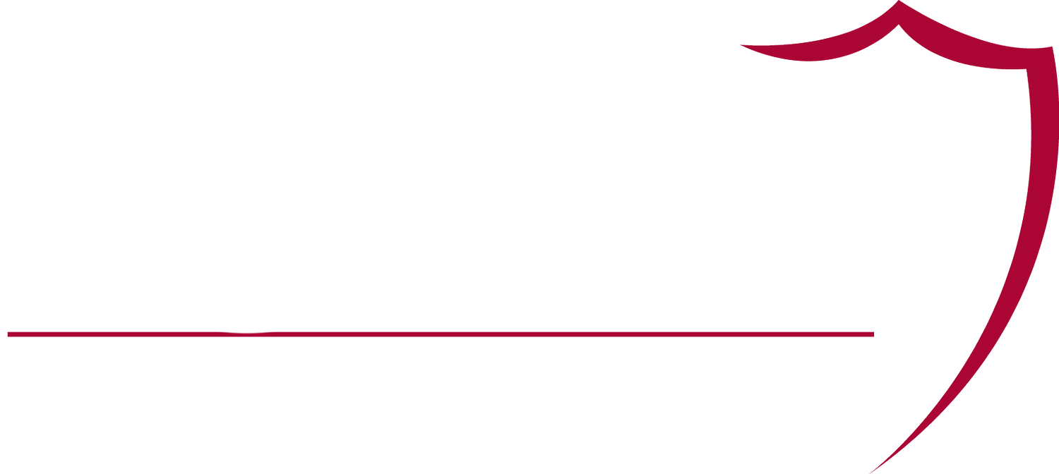 Shield Consulting