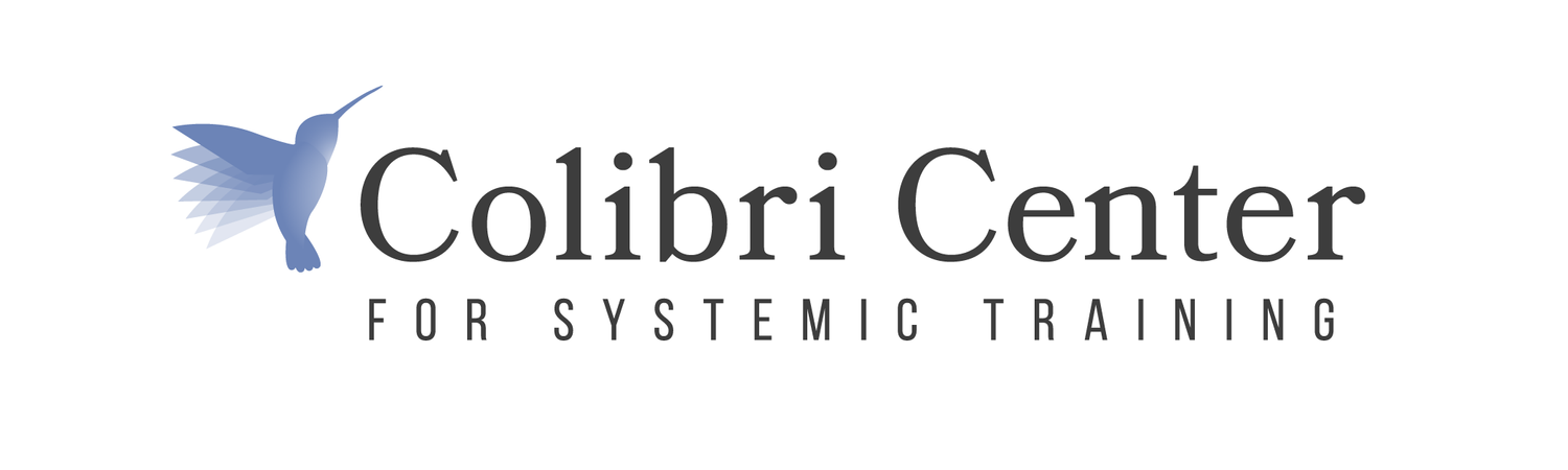 Colibri Center for Systemic Training &amp; Development
