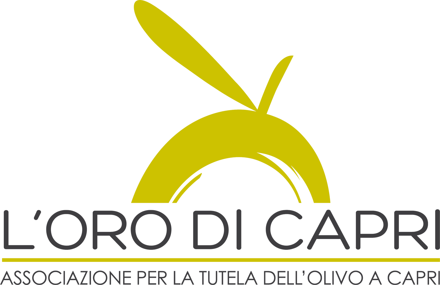 L&#39;Oro di Capri - Associazione per la tutela dell&#39;olivo e dell&#39;olio a Capri 