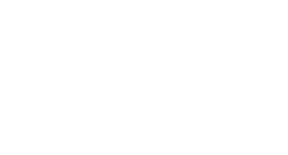 Torchlight Creative