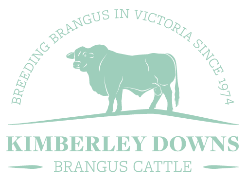 Kimberley Downs Brangus Cattle Victoria
