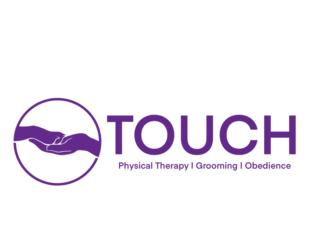Touch Animal Rehabilitation