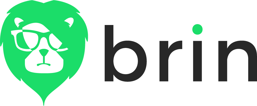 TheBrin.co