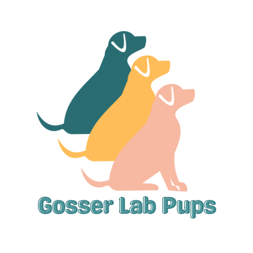 Gosser Lab Pups