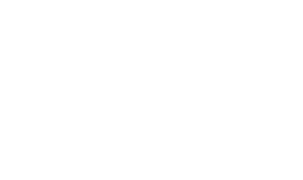 Pawfessional Photography | Pet Photographer NZ