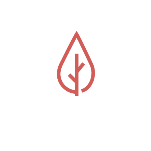 THE NEW VISUAL THRIVE MARKETING GROUP