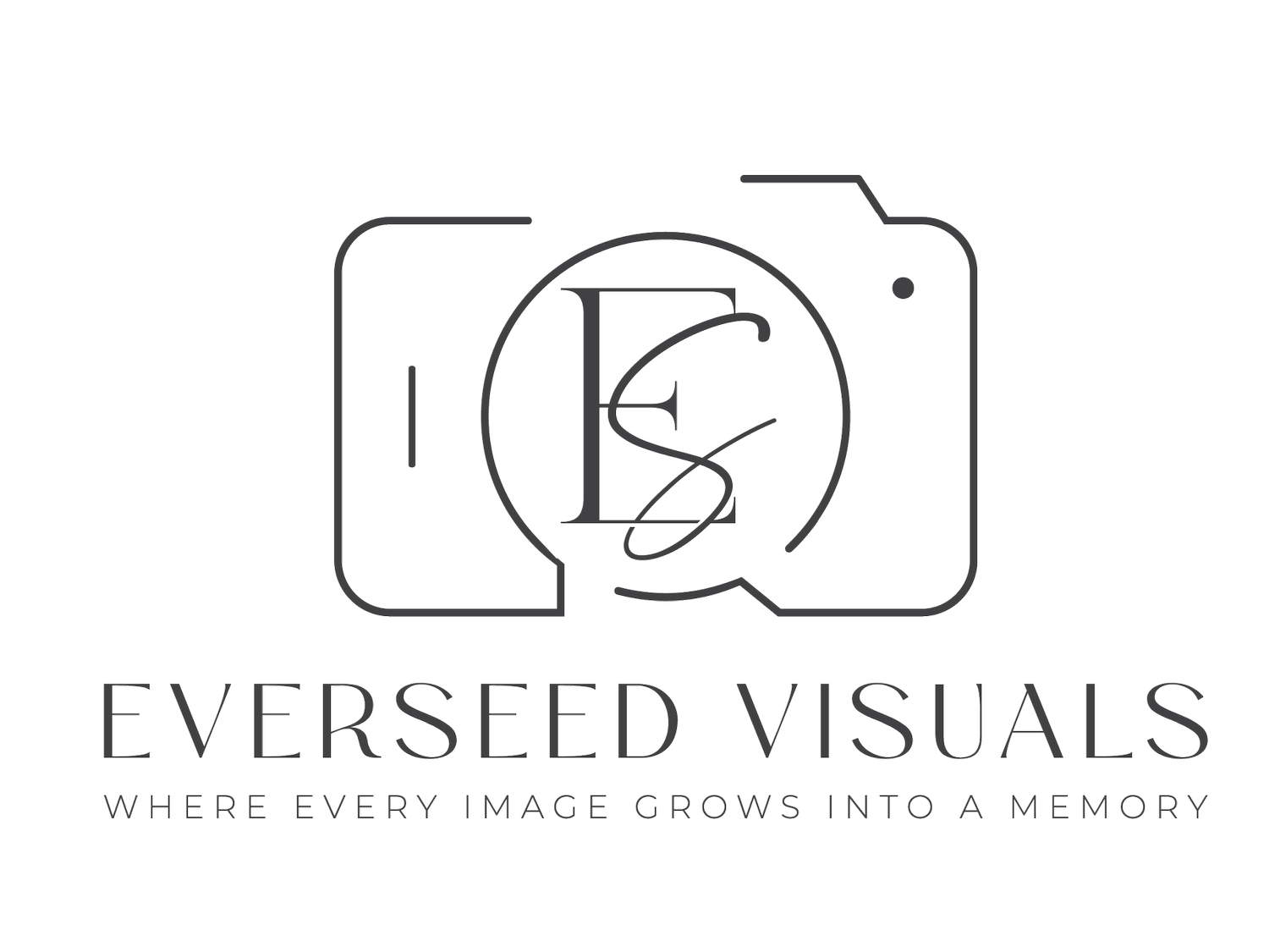 Everseed Visuals