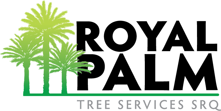 Royal Palm Tree Services | Sarasota, FL