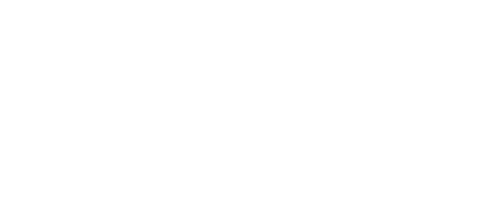 Magician Brady Lee