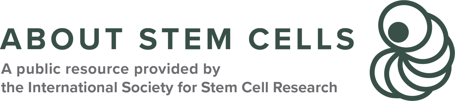 About Stem Cells