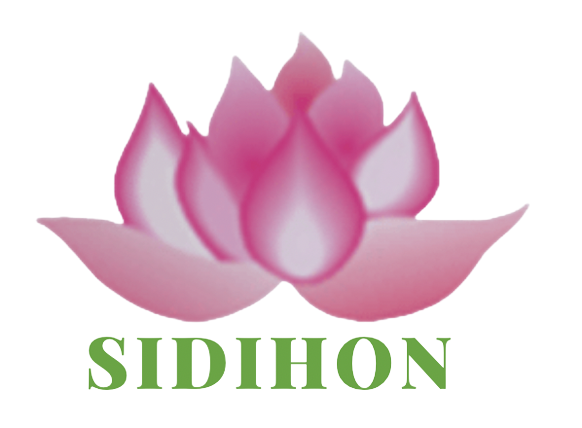 Sidihon Investment