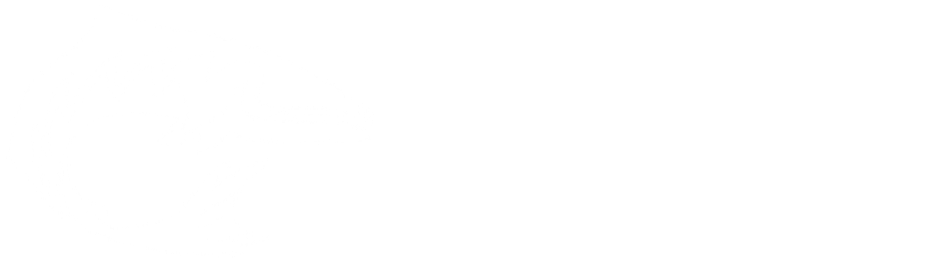 Barracuda LLC