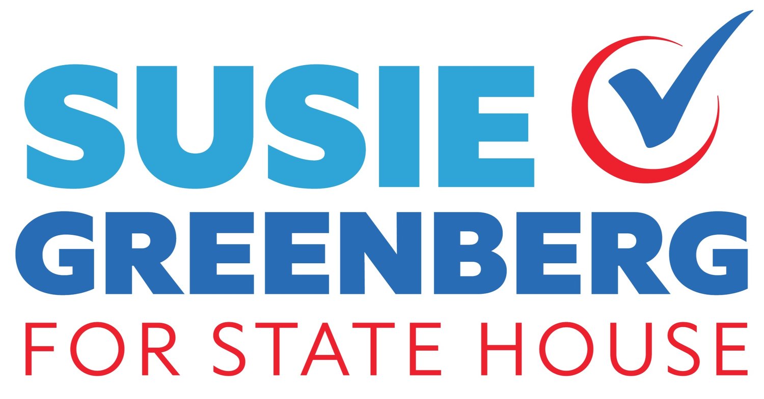Susie Greenberg for State House