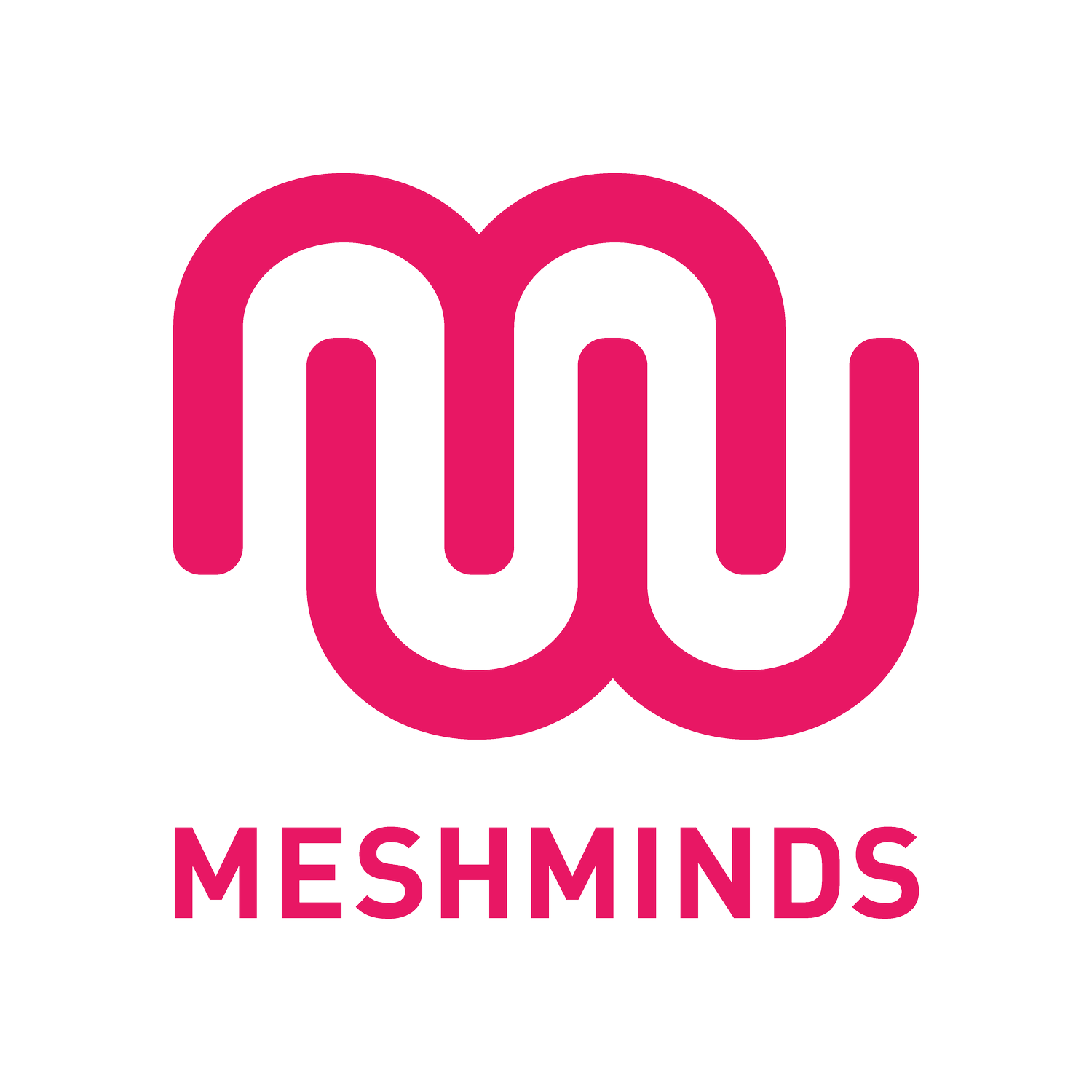 MeshMinds 