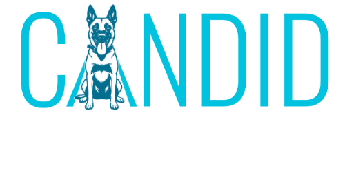 Candid Dog Training