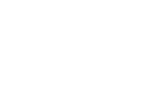 Wings In Flight Outdoors