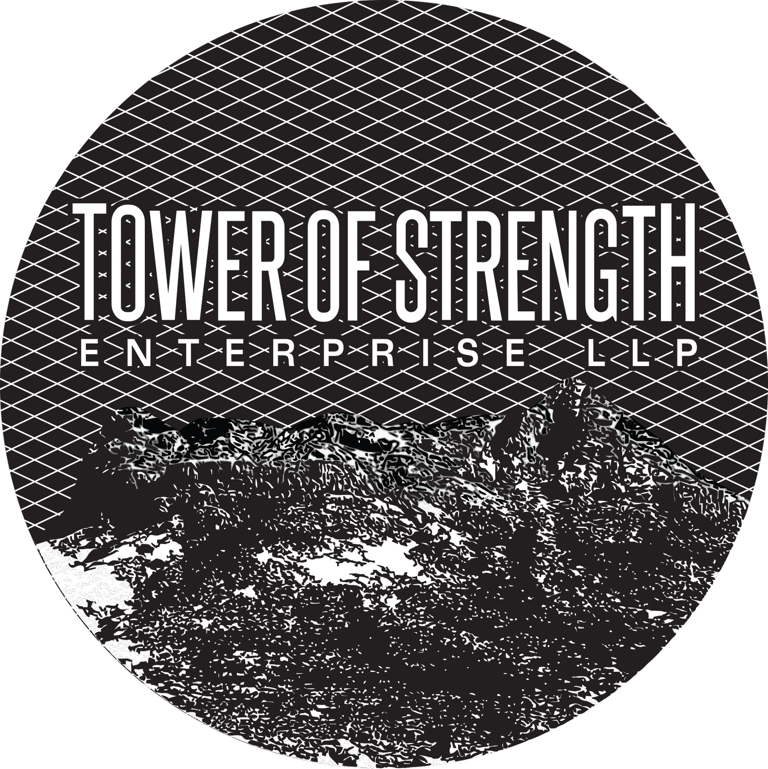 Tower of Strength Enterprise LLP