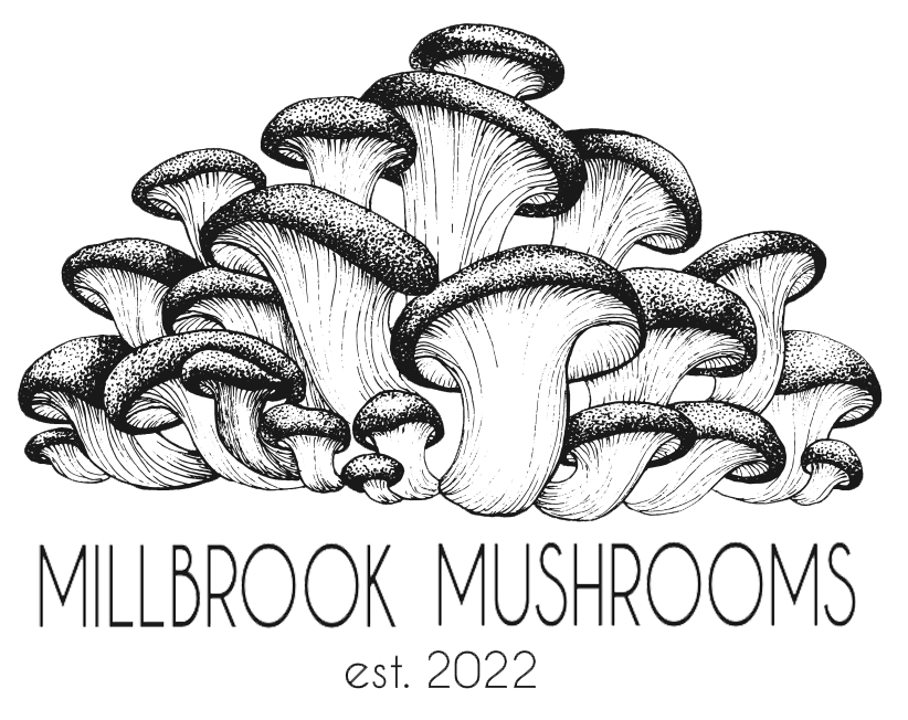Millbrook Mushrooms