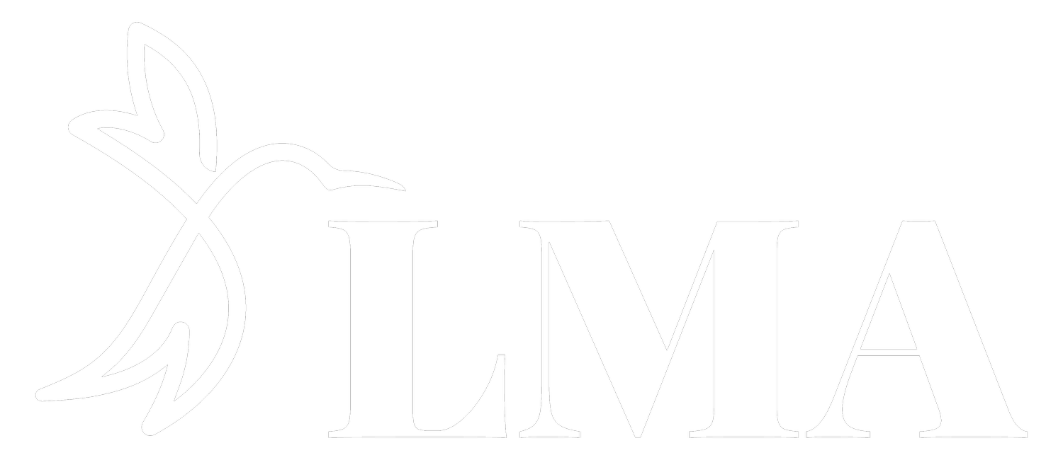 Limitless Marketing Agency