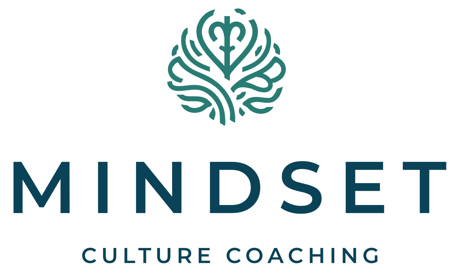 Mindset Culture Coaching