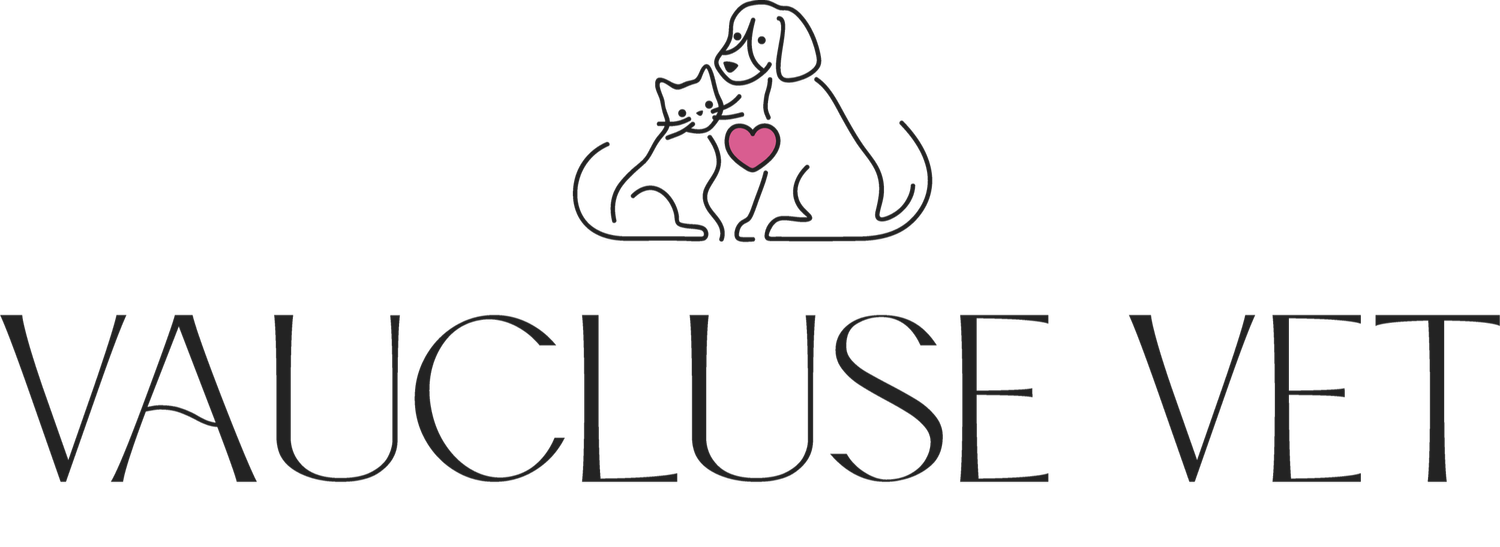 Vaucluse Vet | Clinic & Hospital | Eastern Suburbs Sydney