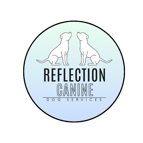 REFLECTION CANINE - Dog Walking &amp; Training