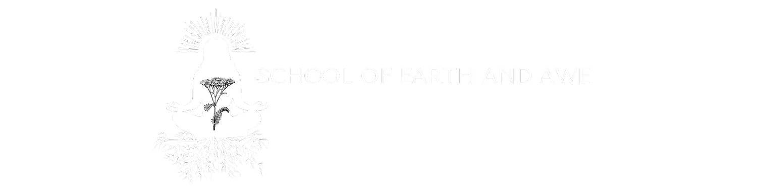 School of Earth and Awe