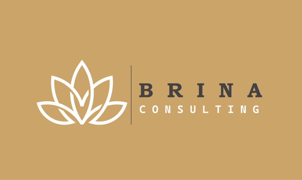 www.brinaconsulting.com