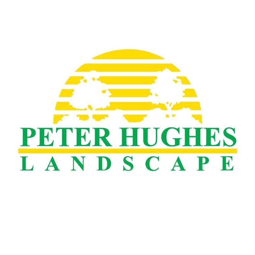 Peter Hughes Landscape