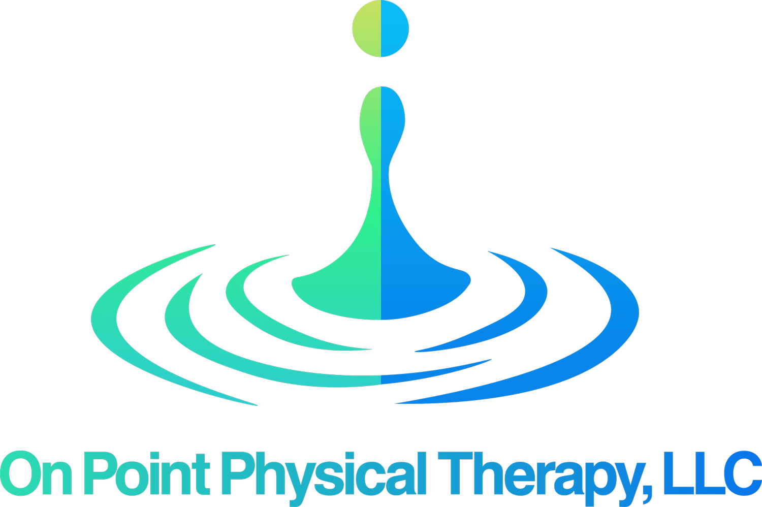 On Point Physical Therapy, LLC