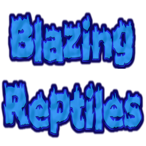 Blazing Reptiles
