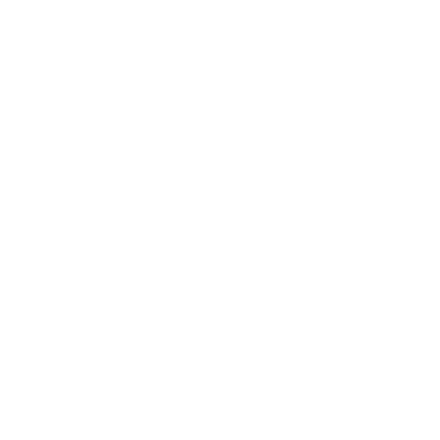 The Sunnah Hub