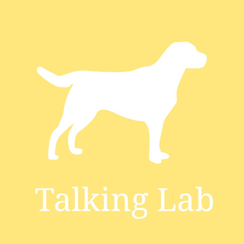 Talking Lab