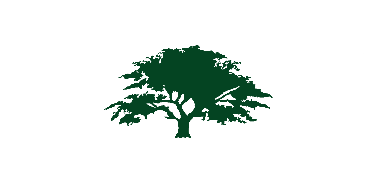 Bay Cities Tree Preservation