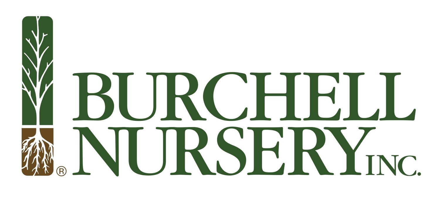 Burchell Nursery