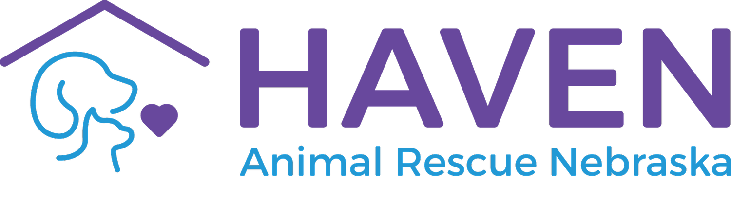 Haven Animal Rescue Nebraska