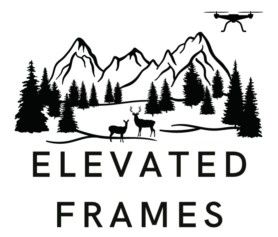 Elevated Frames