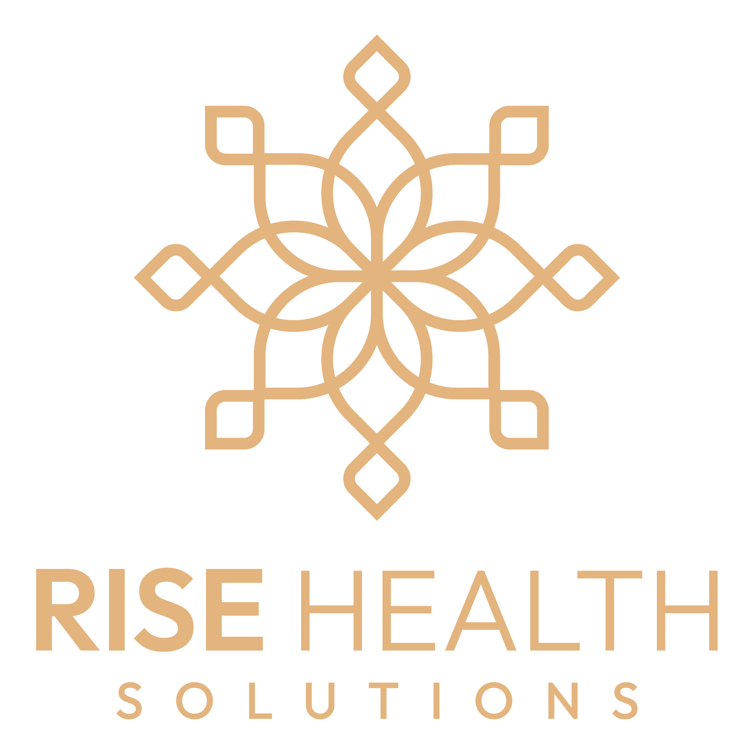 Rise Health Solutions