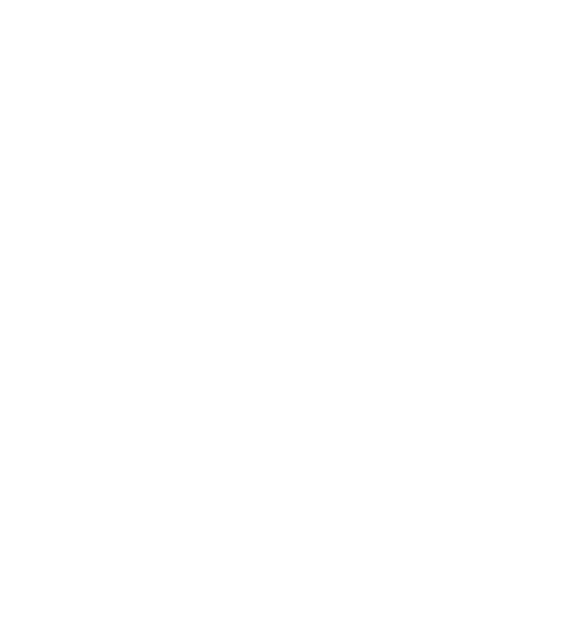 Iceberg Non-Profit Consulting