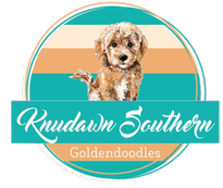 Knudawn Southern Goldendoodles