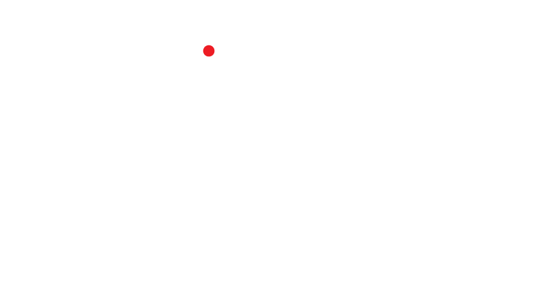 Loon Coffee Co.