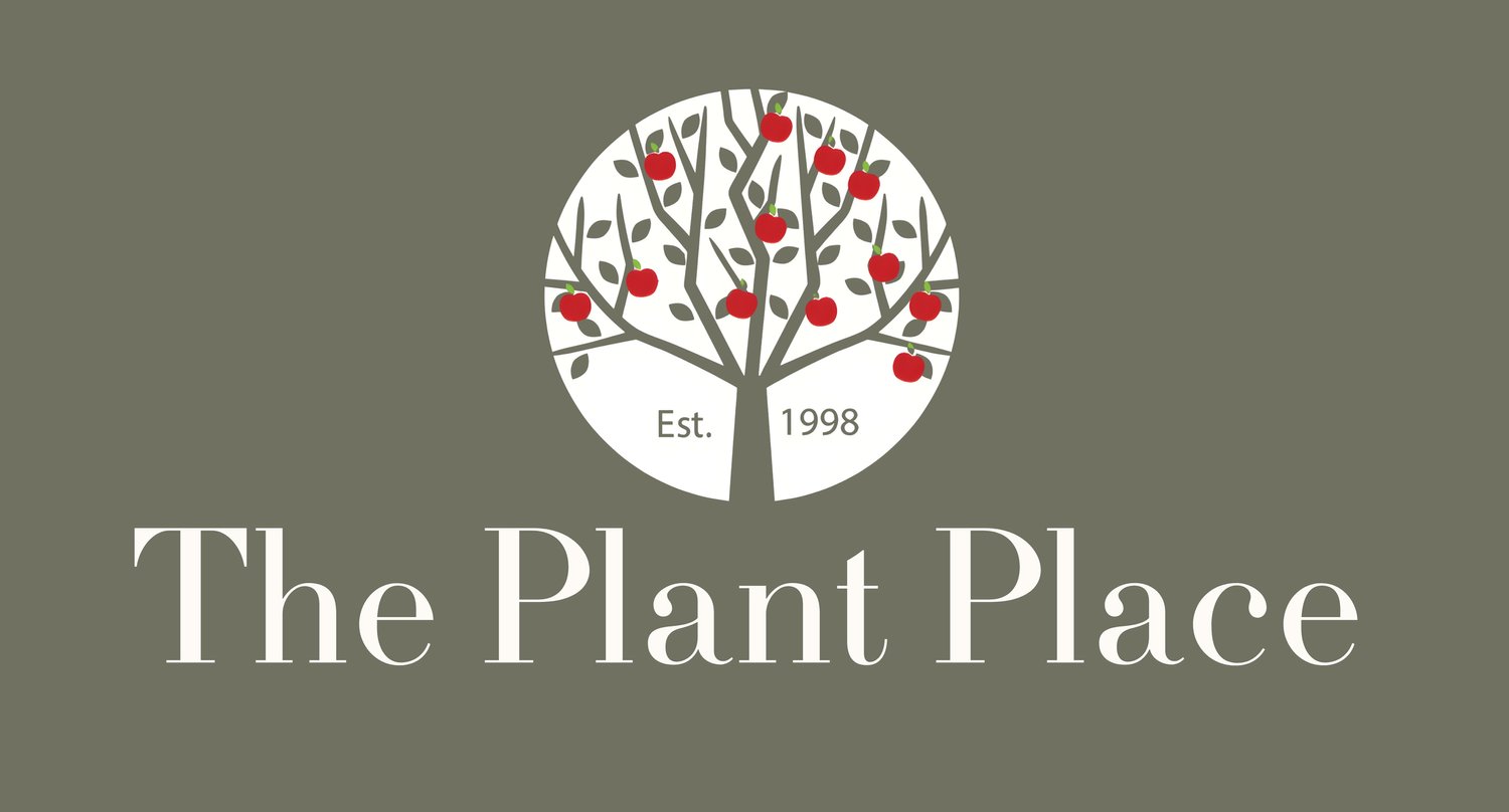 The Plant Place
