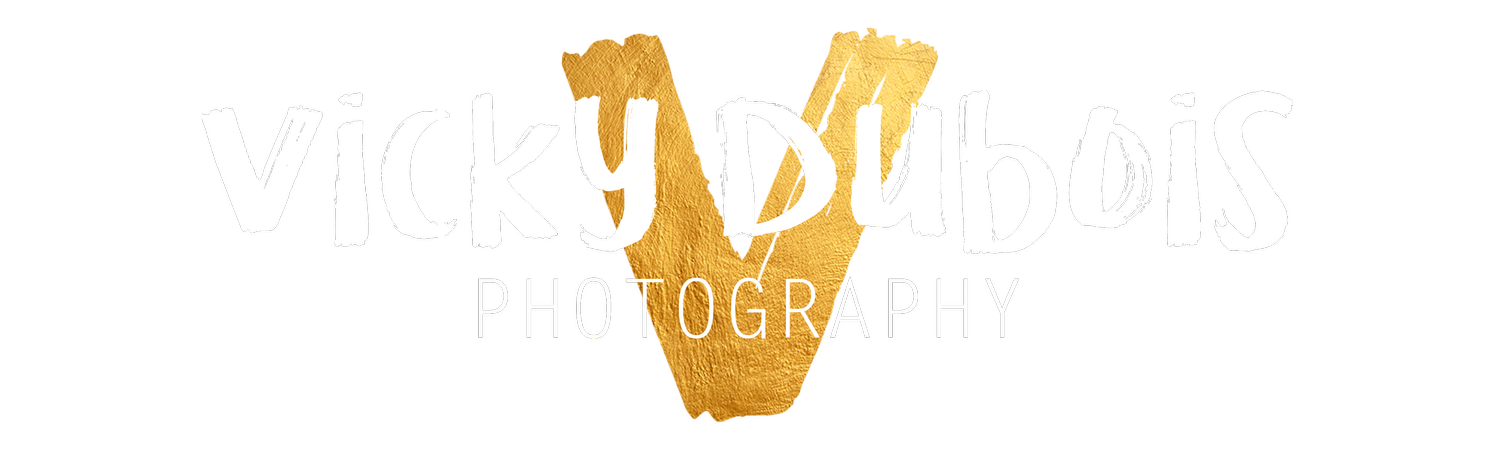 Vicky Dubois Photography - The alternative to stiff and boring wedding photography