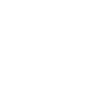 Liu Feng Shui Website Template 9/01/2023