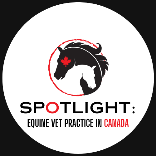 Spotlight - Equine Vet Practice in Canada