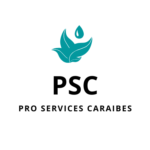 Pro Services Caraibes